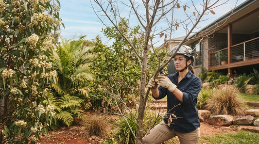 Best Time to Prune Trees in Australia: A Seasonal Guide
